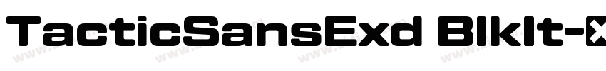 TacticSansExd BlkIt字体转换